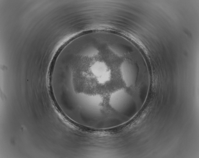 X0000090931037200708061559