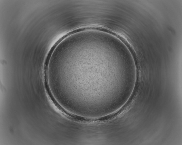 X0000090931038200708061559