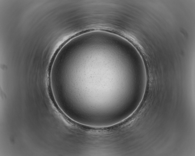 X0000090931040200708061559