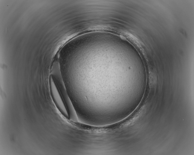 X0000090931041200708061559