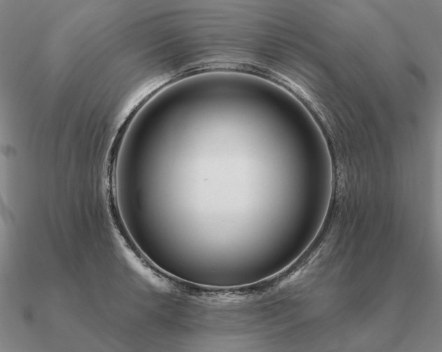 X0000090931042200708061559