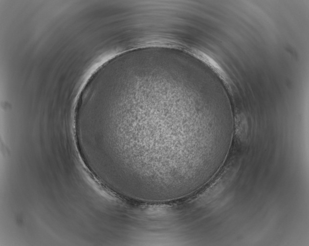 X0000090931043200708061559