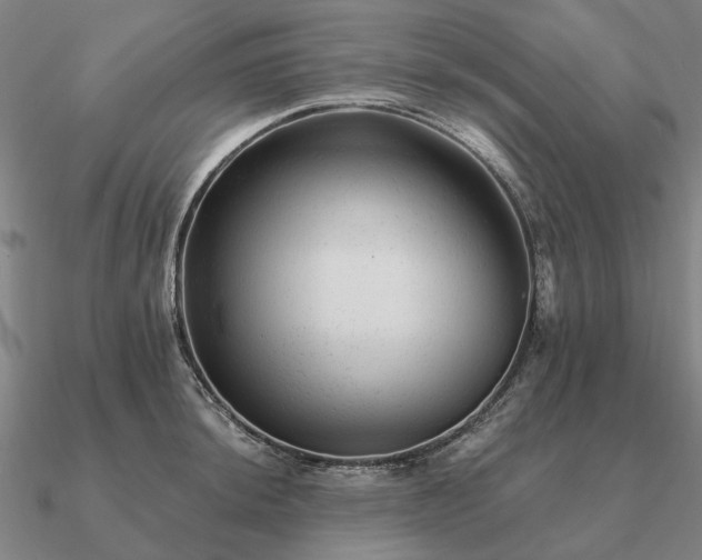 X0000090931044200708061559