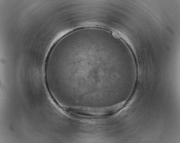 X0000090931045200708061559