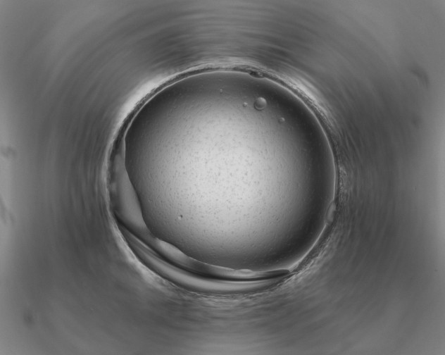 X0000090931046200708061559