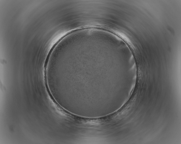 X0000090931047200708061559