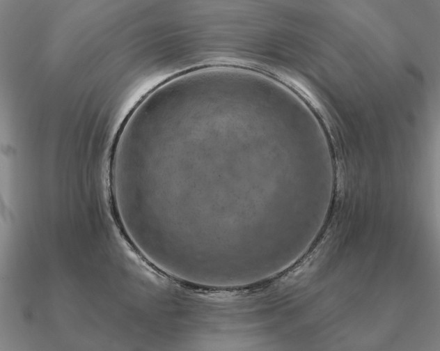 X0000090931048200708061559