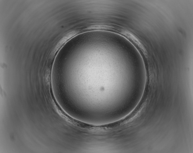 X0000090931049200708061559