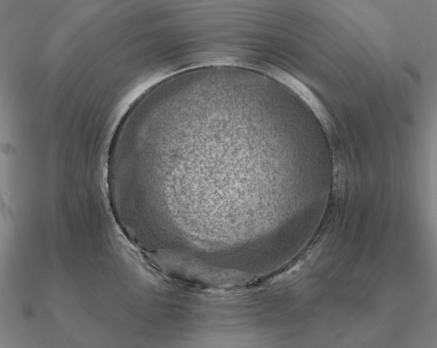 X0000090931051200708061559