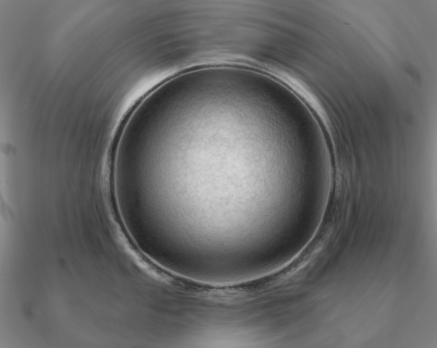 X0000090931053200708061559