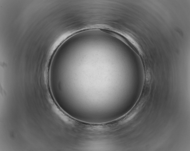 X0000090931054200708061559