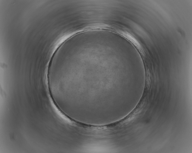 X0000090931055200708061559