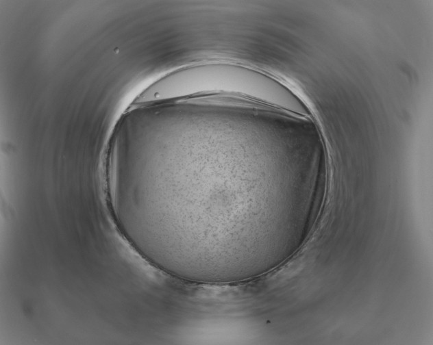 X0000090931056200708061559