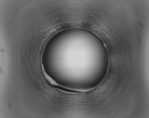 X0000090931057200708061559