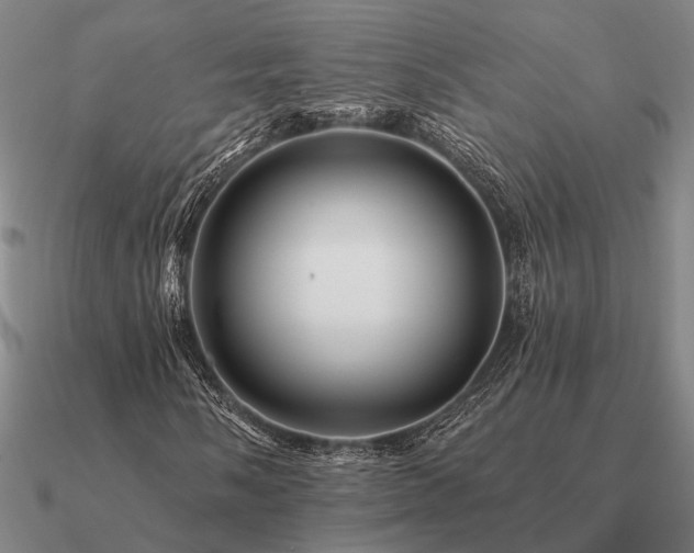 X0000090931058200708061559