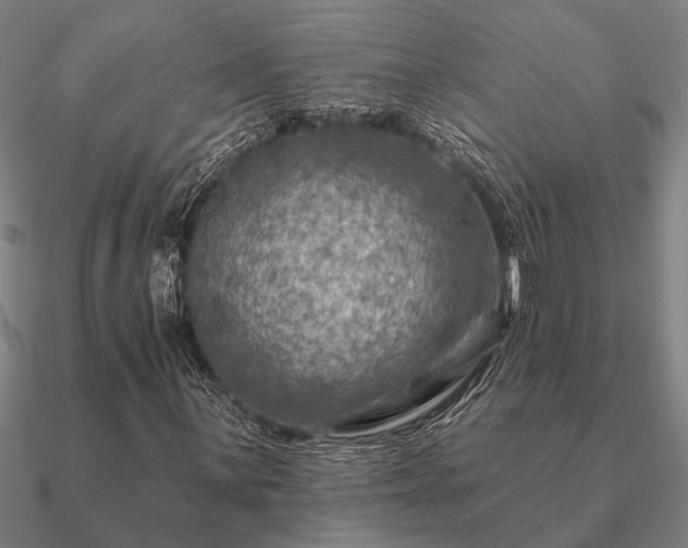 X0000090931059200708061559