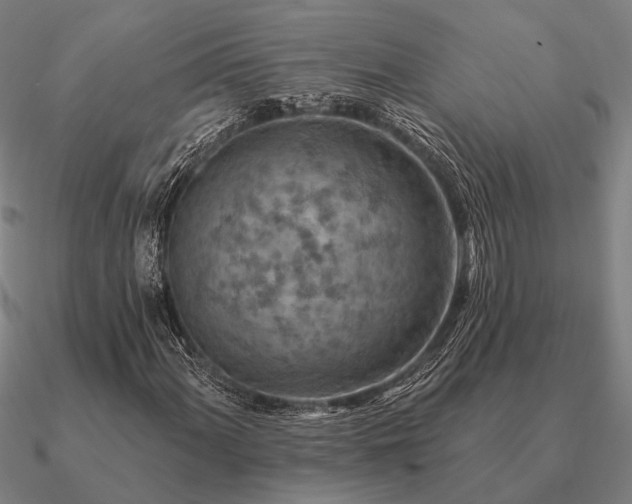 X0000090931060200708061559