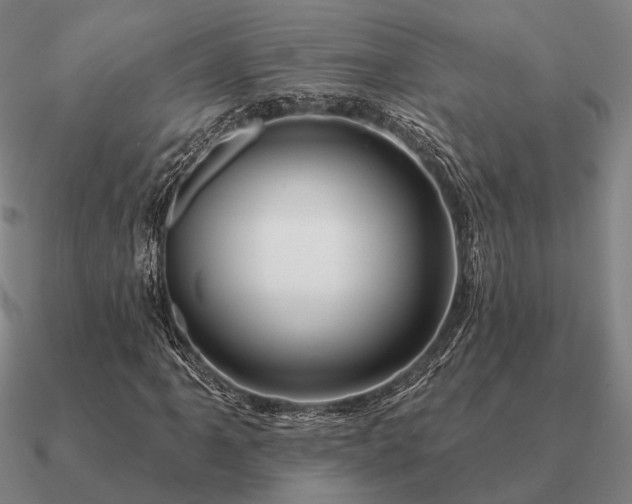 X0000090931061200708061559