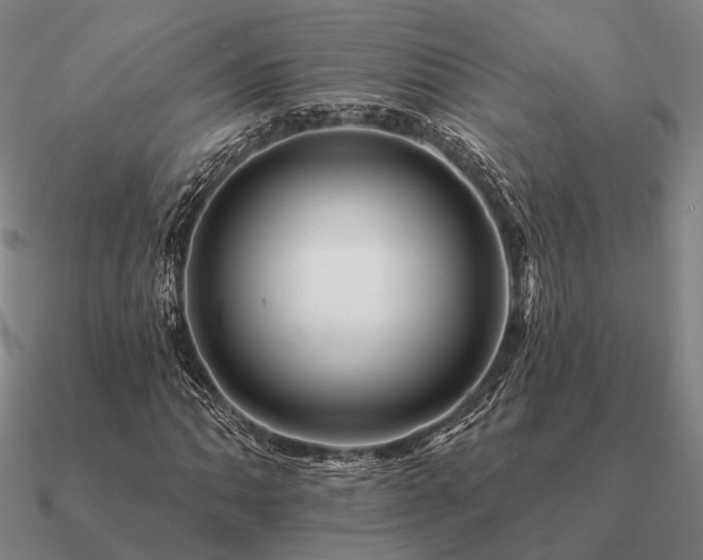 X0000090931062200708061559