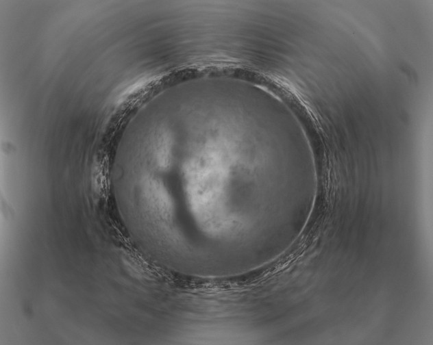 X0000090931063200708061559