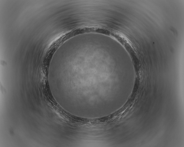 X0000090931064200708061559