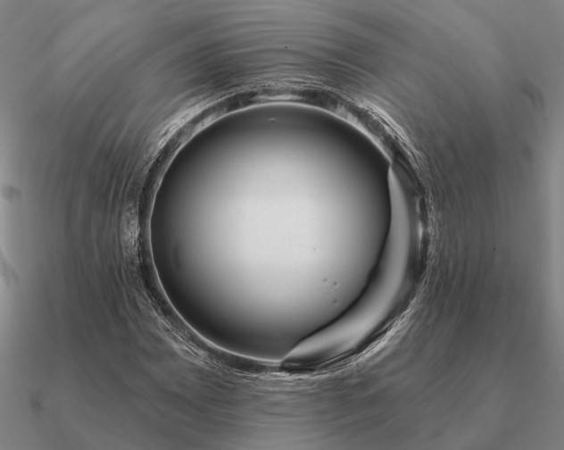 X0000090931065200708061559