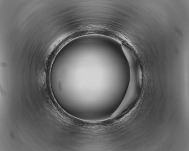 X0000090931066200708061559