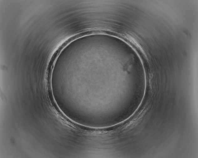 X0000090931068200708061559