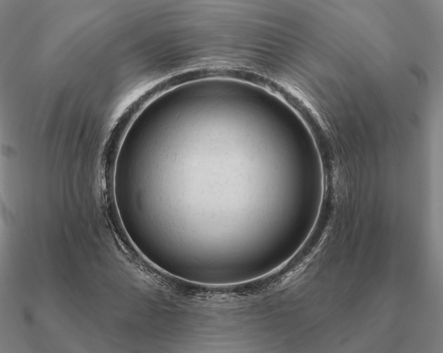 X0000090931070200708061558
