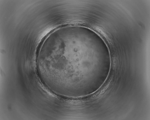 X0000090931071200708061558