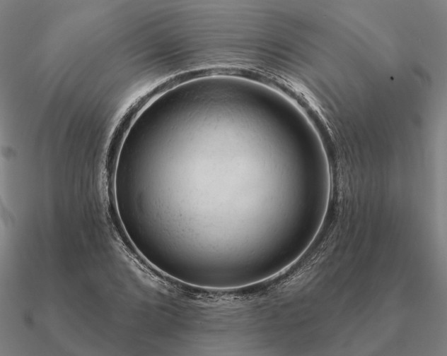 X0000090931072200708061558