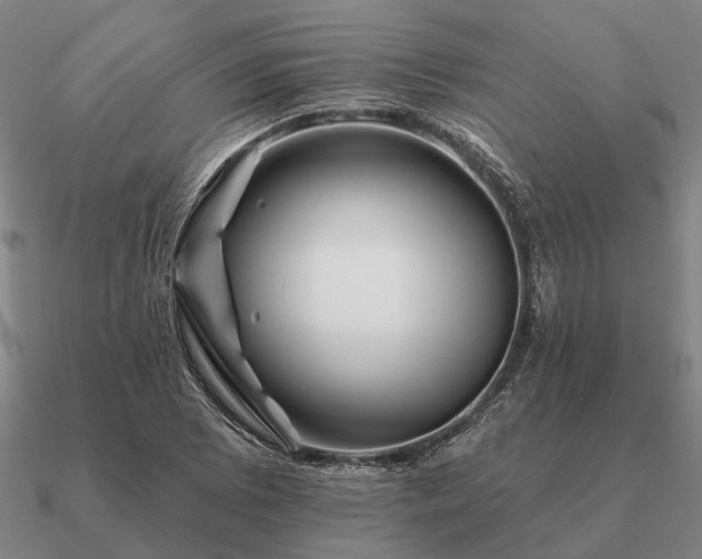 X0000090931073200708061558