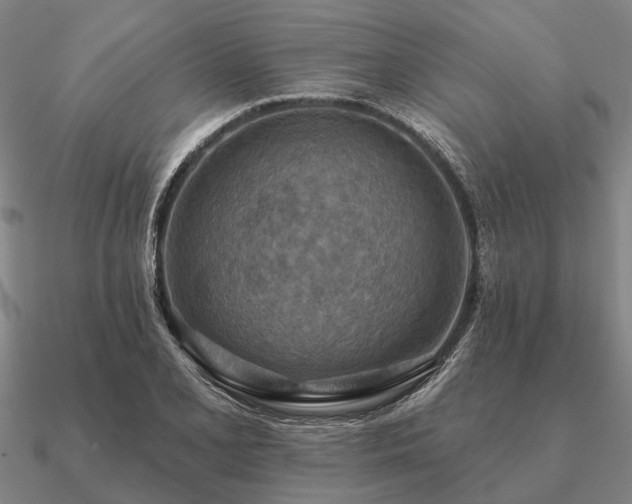X0000090931077200708061558