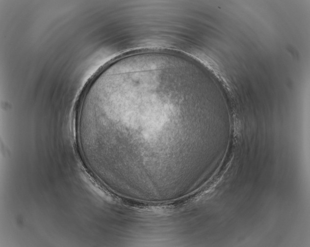 X0000090931078200708061558
