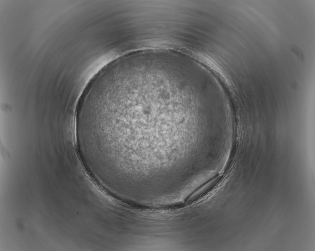 X0000090931079200708061558
