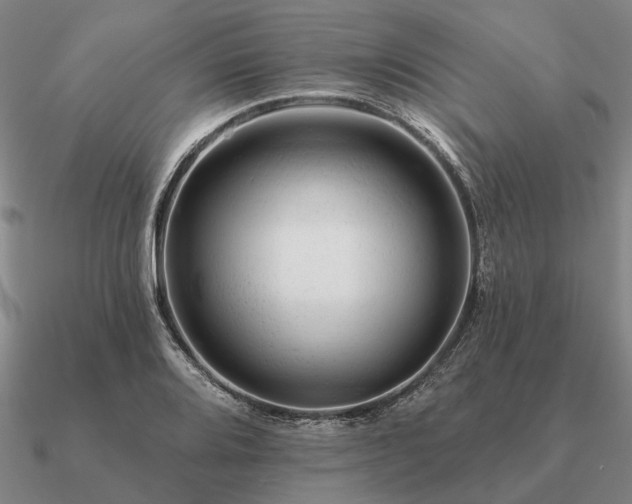 X0000090931080200708061558