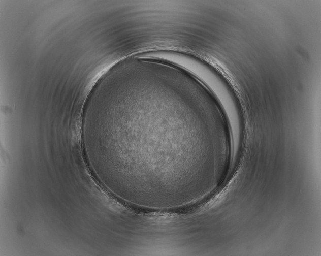 X0000090931081200708061558