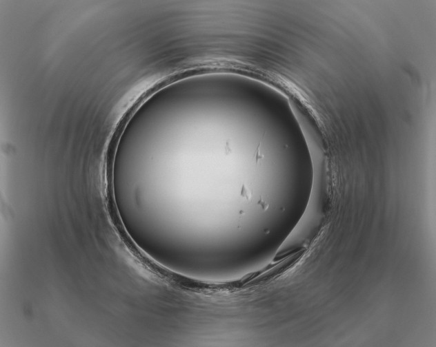 X0000090931082200708061558
