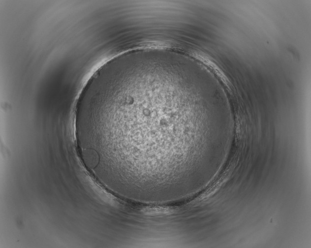 X0000090931083200708061558
