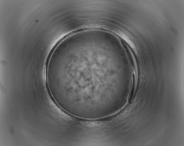 X0000090931084200708061558
