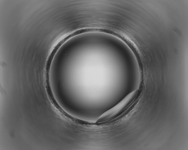X0000090931085200708061558
