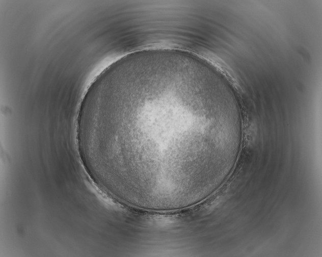 X0000090931086200708061558