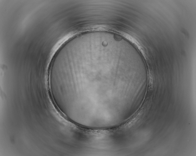 X0000090931090200708061558