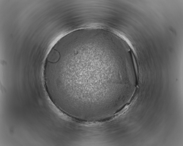 X0000090931091200708061558