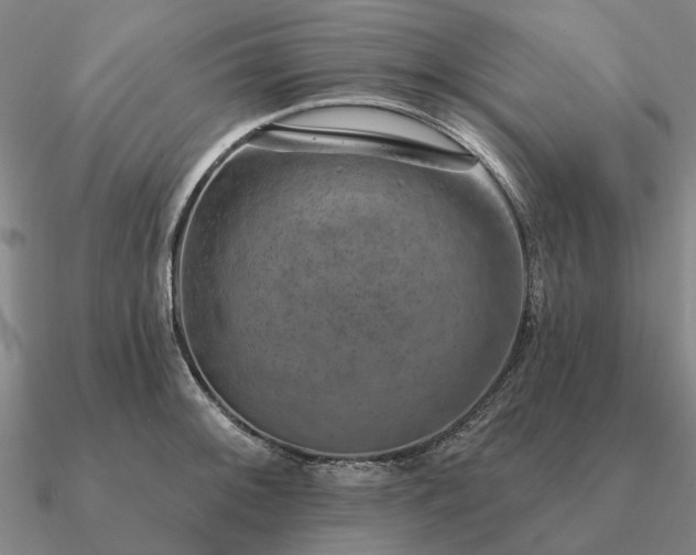 X0000090931092200708061558