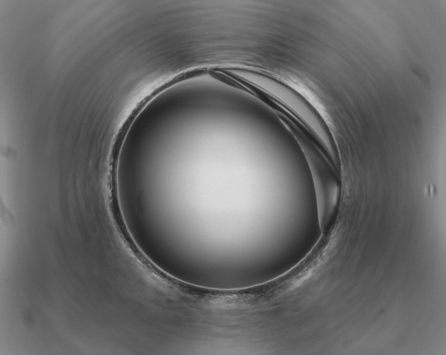 X0000090931093200708061558