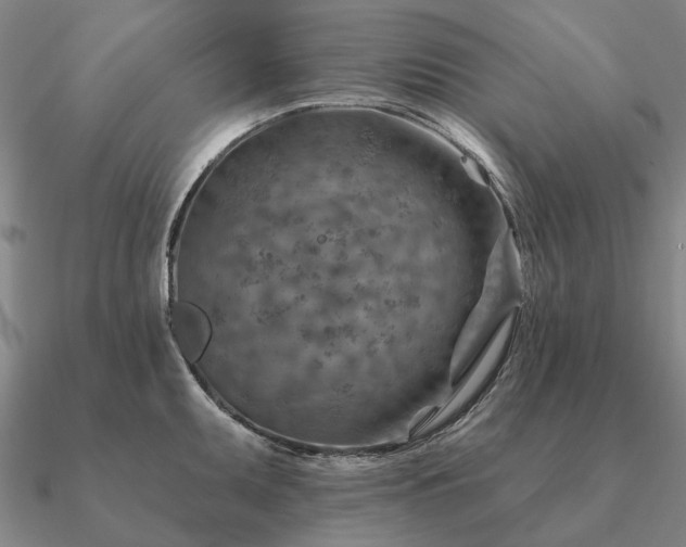 X0000090931095200708061558