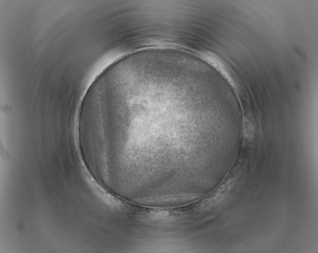 X0000090931098200708061558