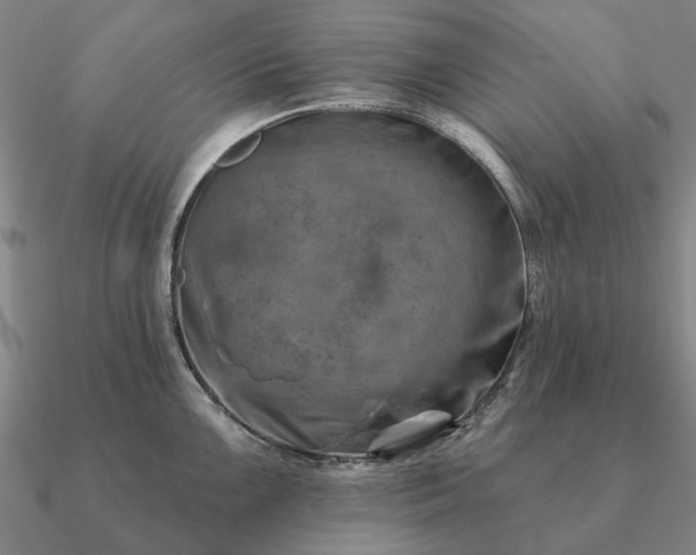 X0000090931099200708061558