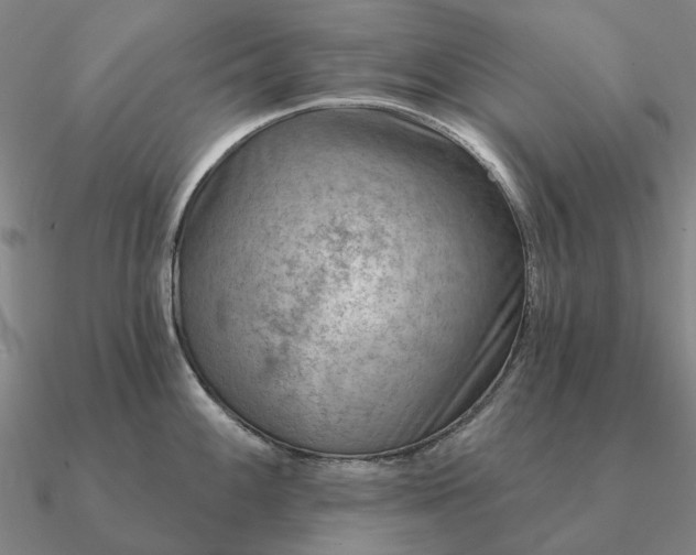 X0000090931100200708061558